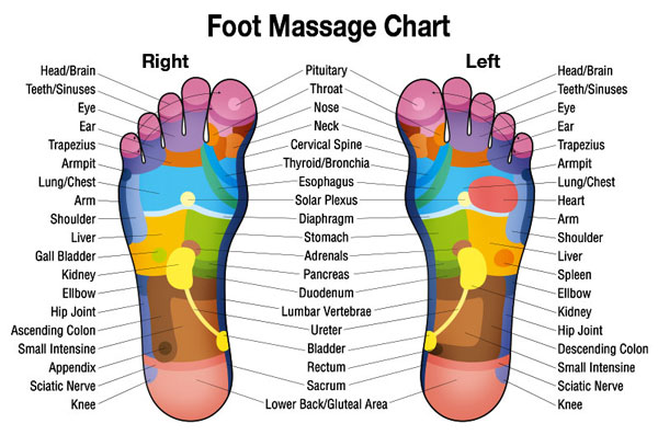 Masajeador de pies --- planta del pie